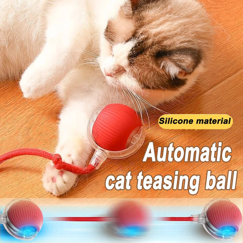 Bola Interativa Para Gatos