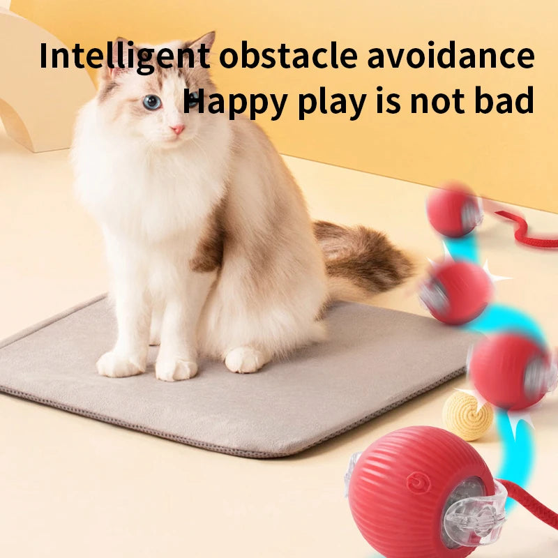 Bola Interativa Para Gatos