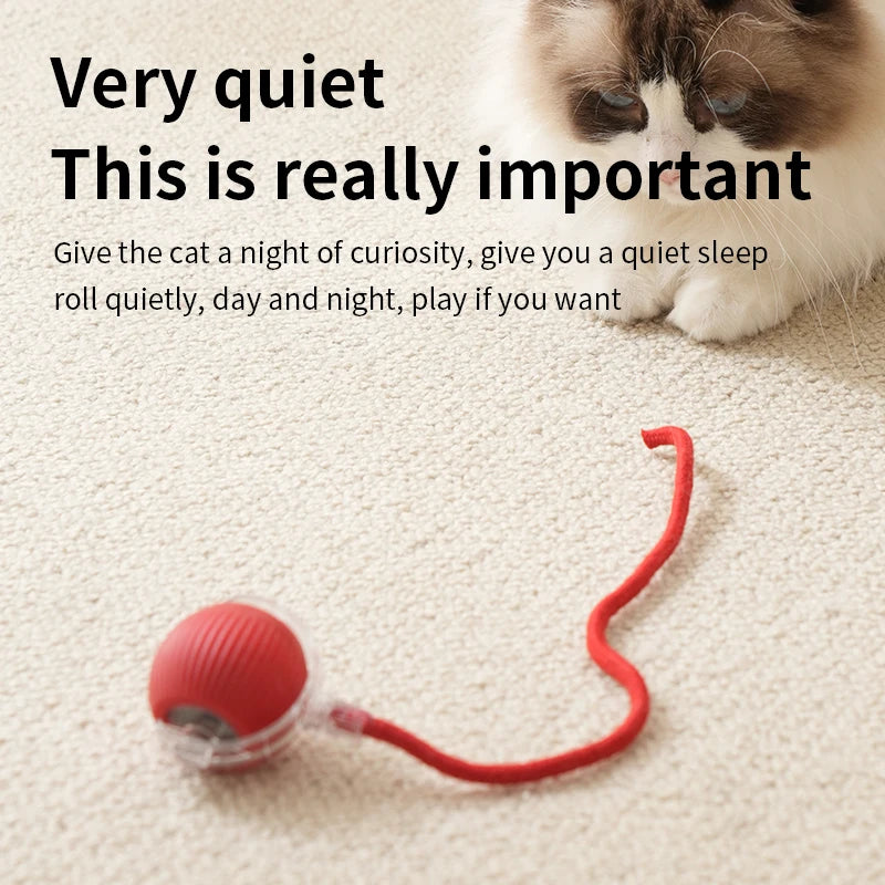 Bola Interativa Para Gatos